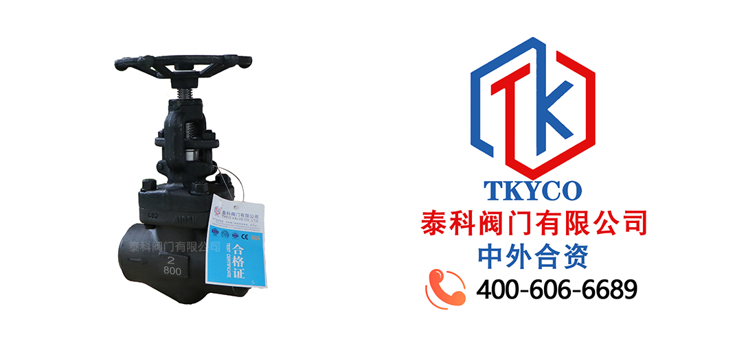 泰科閥門有限公司對焊截止閥的應用！