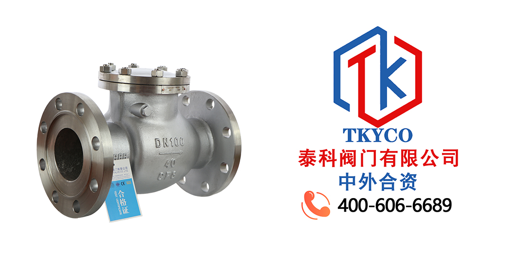 泰科閥門有限公司旋啟式止回閥的工作原理！